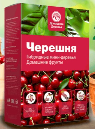 Гибридные мини-деревья - Fruit Tree_1