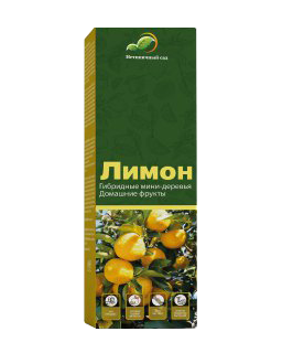 Minitrees Lemon - гибридные мини-деревья