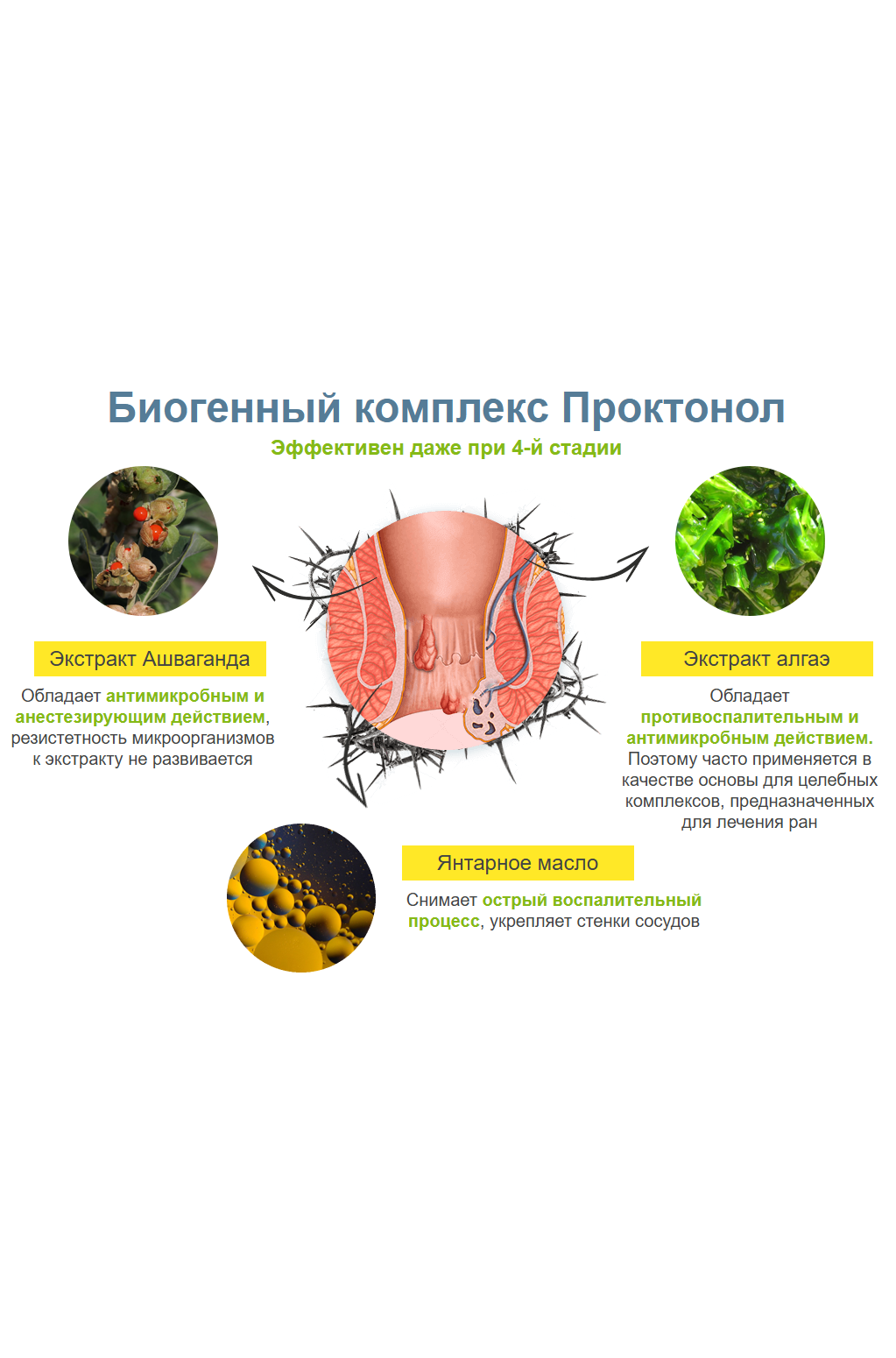 Проктонол — лучшее лекарство от геморроя