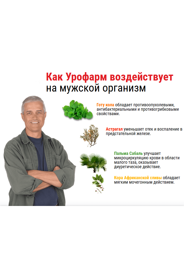 УРОФАРМ ПРОСТАТИТ - урофарм, урофарм капсулы, средство лечения от простатита