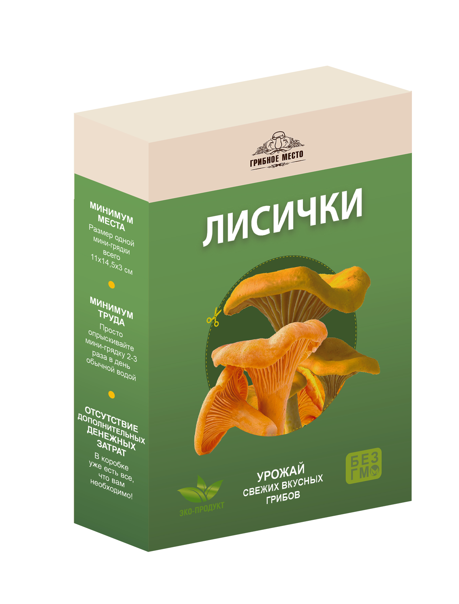 Домашняя грибница — набор для выращивания грибов дома