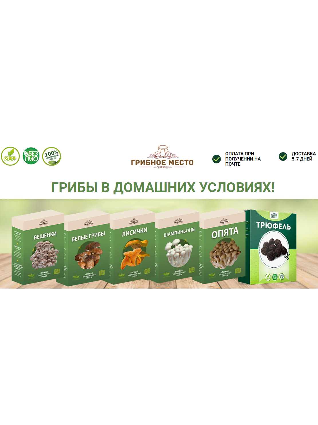 Семена белых грибов, семена грибов для выращивания