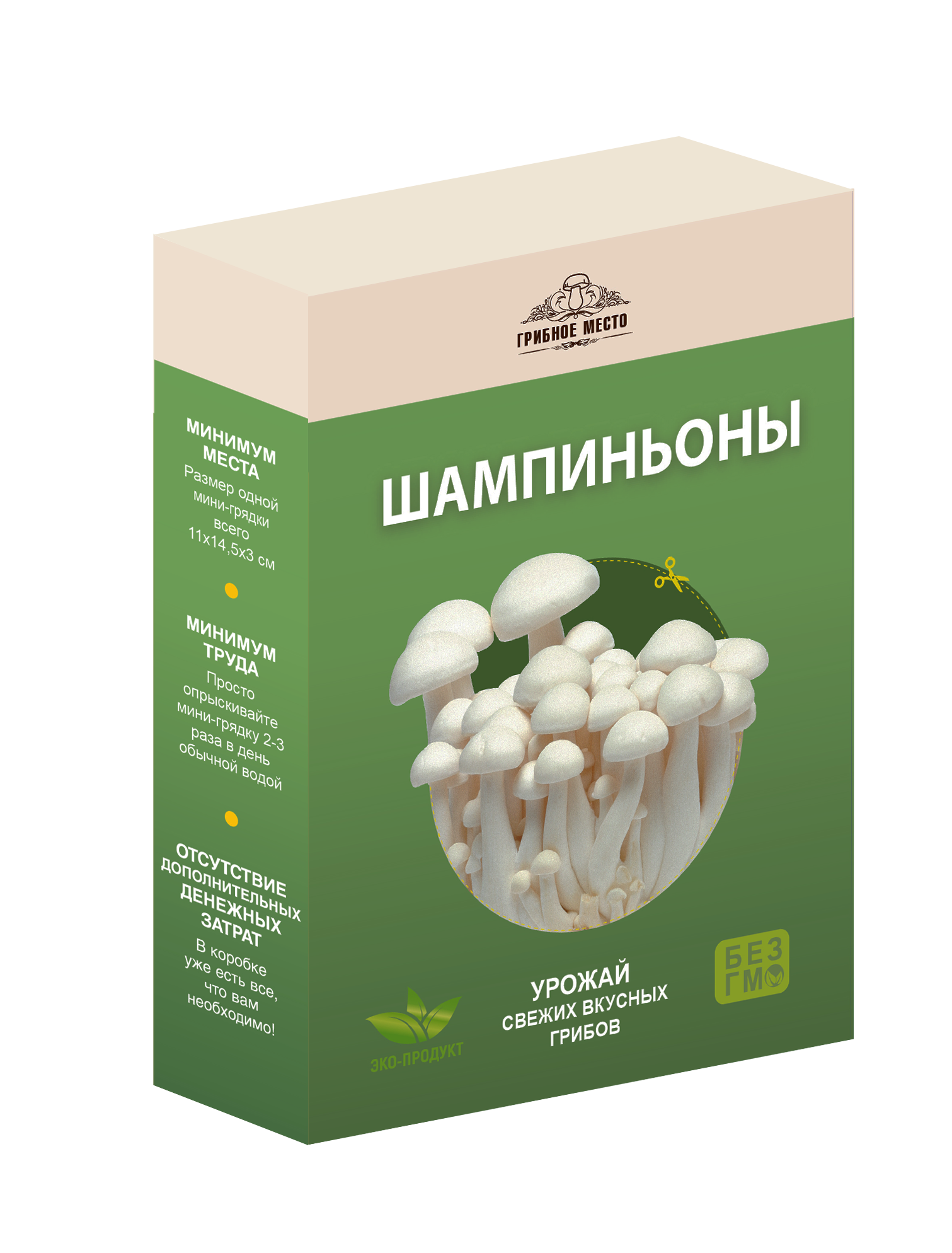 Как сделать домашнюю грибницу — выращивание грибов дома