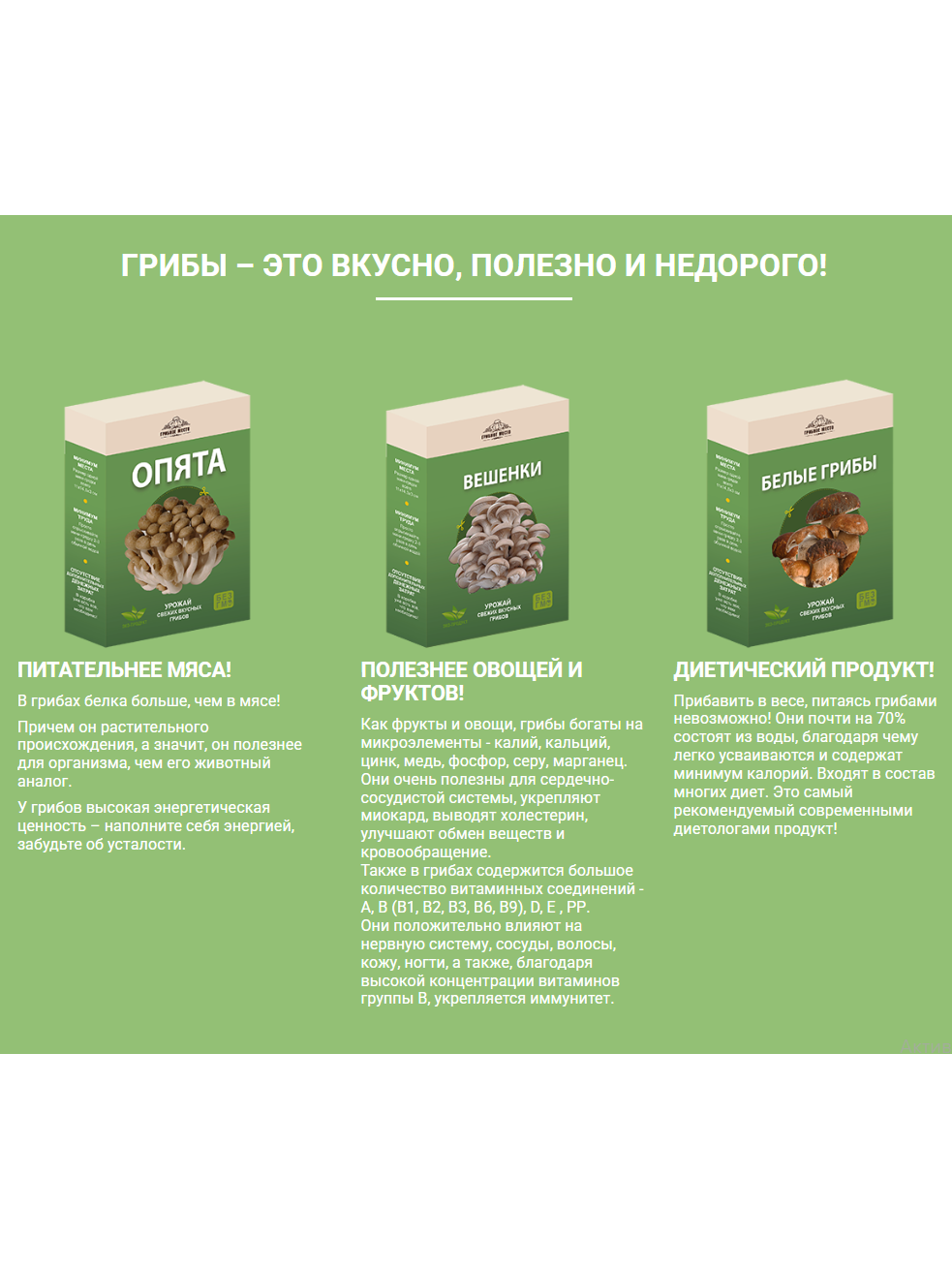 Домашняя грибница выращивание, купить семена грибов